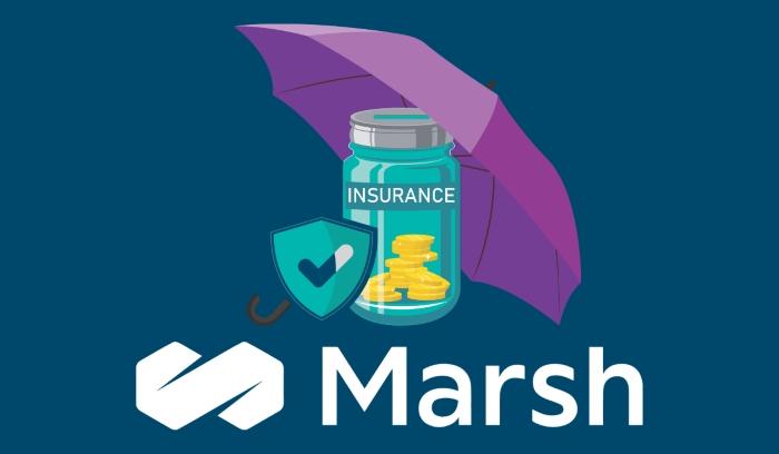 5 Essential Insurances for your Agency